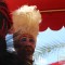 sitges-gay-pride-parade-155